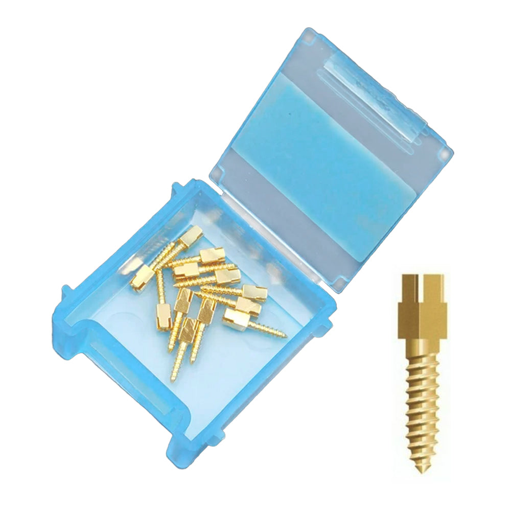 LYuen 24K Gold Plated Screw Post Kit Stainless Steel Medical Grade S/M/L/XL Full Sizes Dentist Endodontic Post Core Restoration 12pcs/Box